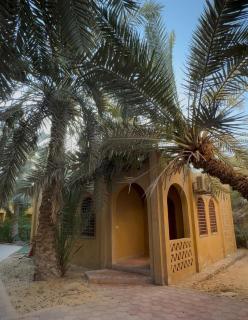 Siwa Paradise Hotel - Siwa - 0