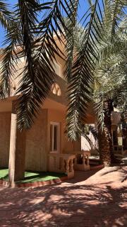 Siwa Paradise Hotel - Siwa - 2