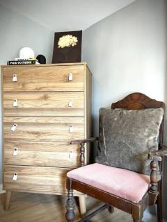 Cozy Old Chicago Style Retreat in Evanston - Evanston - 1