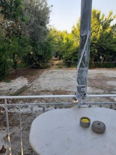 Green Living - Mytilini - 4