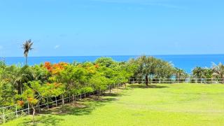 鳳凰城堡2F -  - 9