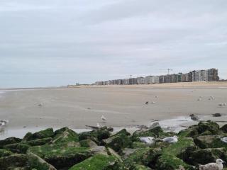 Apartment in Koksijde near the Sea, cleaning included - Koksijde - 5