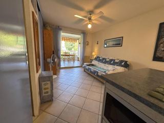 Appartement 2 pièces cabine, proche plage, animaux acceptés - FR-1-826-16 - La Londe-les-Maures - 7