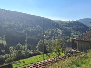 Chambres d'hôtes en montagne près de sentiers - FR-1-589-821 - Ventron - 2