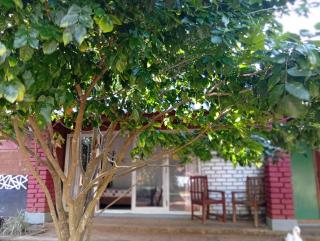 Mahi's Place - Minneriya - 9