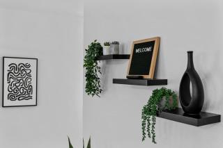 Zebra House - Close 2 all TampaBay has to offer - 4