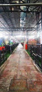 Rick Resort Teluk Intan - Teluk Intan - 1