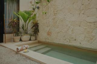 Unforgetable outing with private pool - Tulum - 8