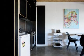Bright Studio in Launceston CBD - Kings Park - 8