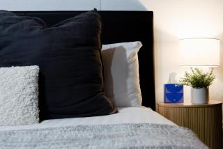 Bright Studio in Launceston CBD - Kings Park - 5