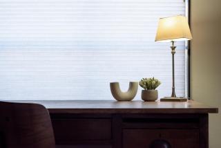 Bright Studio in Launceston CBD - Kings Park - 4