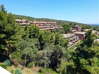 Attractive apartment in Olbia near sea - Olbia - 1
