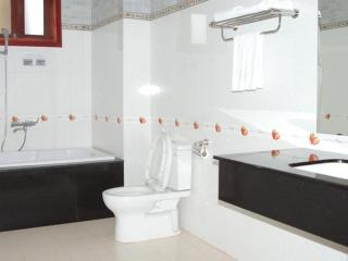 A1 Hotel - Dien Bien Phu - Diện Biên Phủ - 9