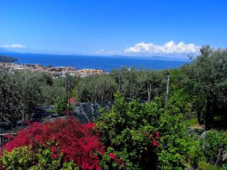 Luxurious Mansion in Sorrento with Garden - Sorrento - 5
