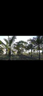 Talyachi Wadi - Agro-tourism center & Cultural Center - Nashik - 0