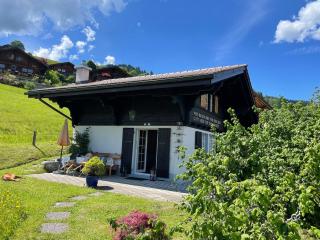 Ein Chalet für dich alleine! Haselmätteli - Habkern - 9