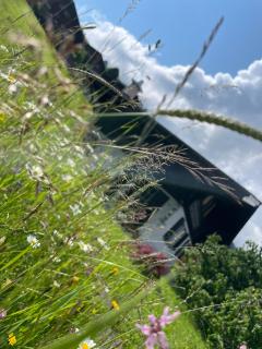 Ein Chalet für dich alleine! Haselmätteli - Habkern - 8