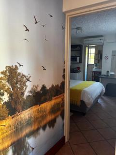 Steenbok Self Catering Accommodation - Upington - 3