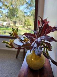 Tuckers Lane Boutique Accommodation - Rothbury - 4