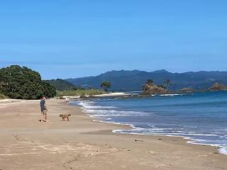 Beach Retreat, Studio, Kuaotunu, Coromandel - 4