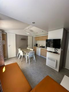 Location mobile-home confort face au lac - 2