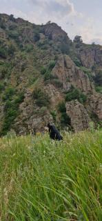 Vozni Lodge - Yeghegis - 6