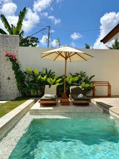 Turtle Villa - 6