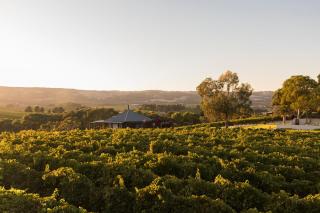 The Strand at The Vineyard McLaren Vale - King BR, Comp Minibar, Breakfast Prov, Fireplace - Blewitts Springs - 3