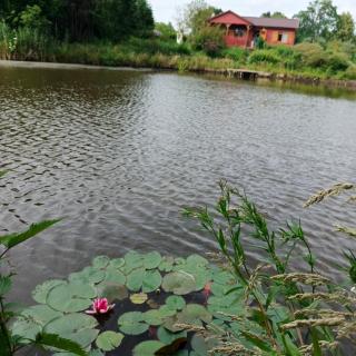 Siedlisko Julitkowo - Człopa - 9