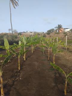 Quinta Achada Fazenda - Santiago - 1