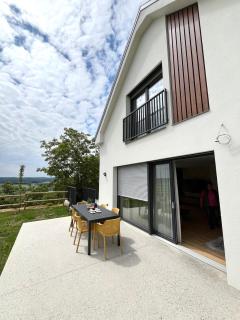 Vila Vinita - Sveti Jurij ob Ščavnici - 4