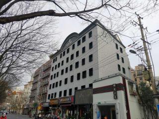 Weiting Hotel Liyuan Road Madang Road Subway Station Branch唯庭酒店丽园路店 - Shanghai - 0