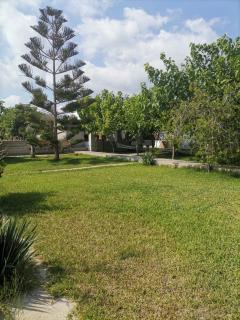 Skyrosfamilyhouses-Dolphins house - - 7