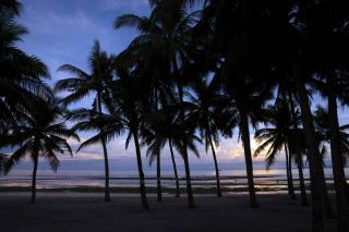 South Palms Resort and Spa Panglao - MGallery Collection - 4