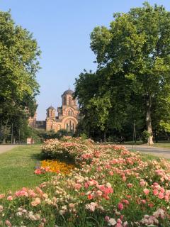 Oblak - Belgrade - 1