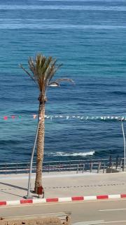 Appartement - Mostaganem - 4