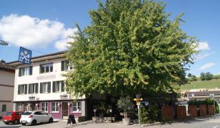 Gasthof Ochsen - Huttwil - 2