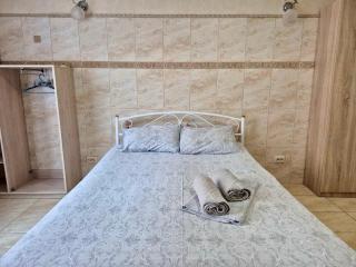 Studio apartment metro Pechersk - Kiev - 3