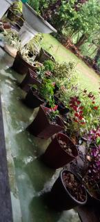Village Breeze Homestay - Elpitiya - 2