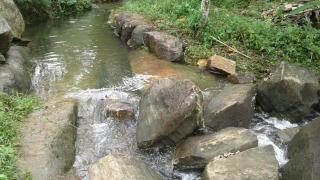 Village Breeze Homestay - Elpitiya - 1