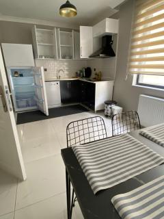 1004 Close to central peaceful and spacious consulates - Kavaklıdere - 9