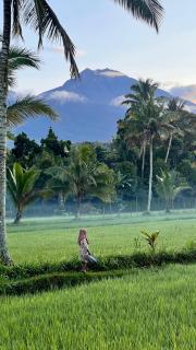Tereng Wilis bungalows - Tetebatu - 9