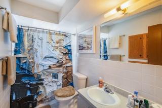 Luxury 8 guest, King Bed, garage - Milwaukee - 1
