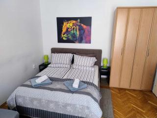 Piac Street Apartment -Debrecen - Debrecen - 5