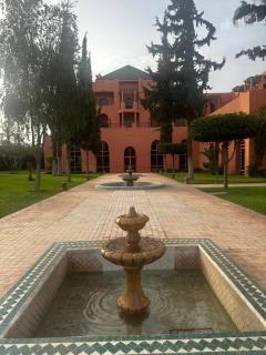 Meh App - Sidi Bel Abbès - 3