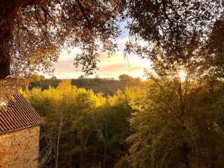 Domaine de charme avec 2 gîtes et piscine couverte - La Chapelle-Aubareil - 8