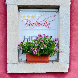 Hotel Barborka - Přední Výtoň - 9