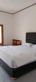 Casa kinari - Banyuwangi - 1