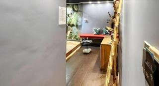 Rockinnest Boutique Hotel - El Nido - 4