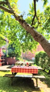 Casa Florenta G3 - Cangas de Onís - 1